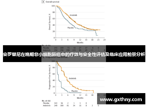 安罗替尼在晚期非小细胞肺癌中的疗效与安全性评估及临床应用前景分析 安罗替尼在晚期非小细胞肺癌中的疗效与安全性评估及临床应用前景分析