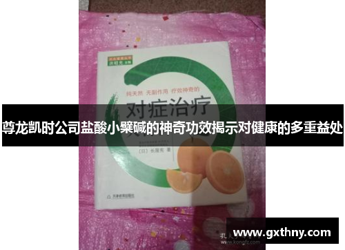 尊龙凯时公司盐酸小檗碱的神奇功效揭示对健康的多重益处