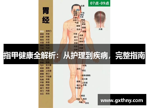 指甲健康全解析:从护理到疾病,完整指南 指甲健康全解析:从护理到疾病,完整指南