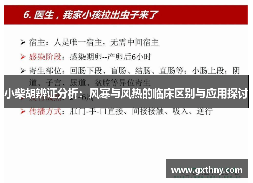 小柴胡辨证分析：风寒与风热的临床区别与应用探讨