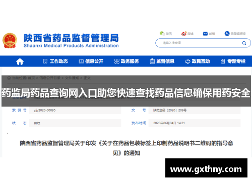 药监局药品查询网入口助您快速查找药品信息确保用药安全